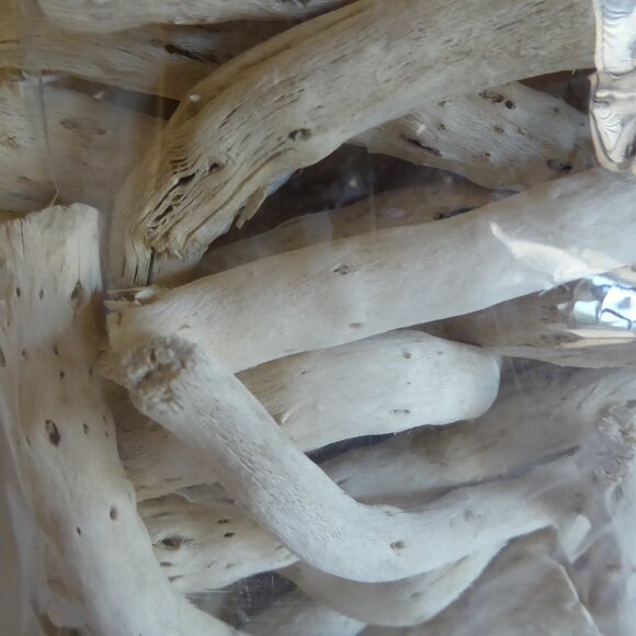 NEW 4” 80 PIECES DRIED NATURAL DECORATIVE BLEACHED CAULIFLOWER ROOT - Picture 3 of 9